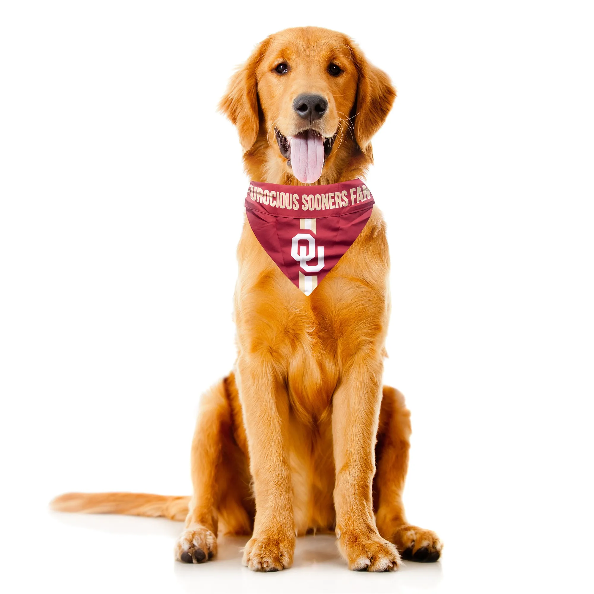 University of Oklahoma Pet Bandana