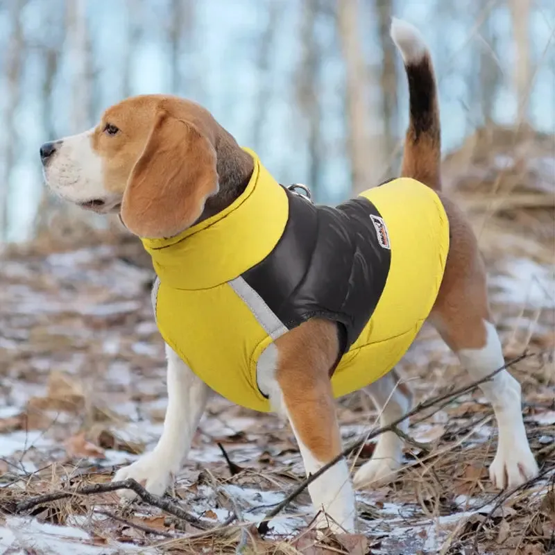 Waterproof Padded Winter Jacket for All Dog Sizes