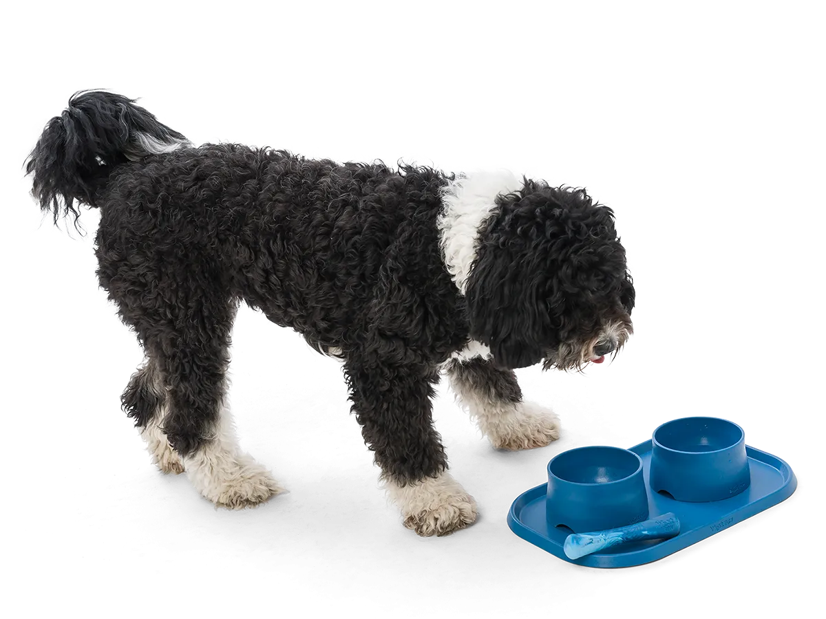 West Paw Drifty® Dog Toy